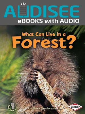 cover image of What Can Live in a Forest?